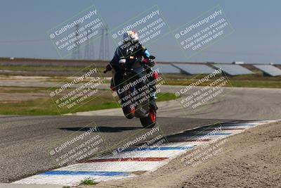 media/Mar-24-2025-2WTD (Mon) [[55b4b08488]]/A Group/12pm (Wheelie Bump)/